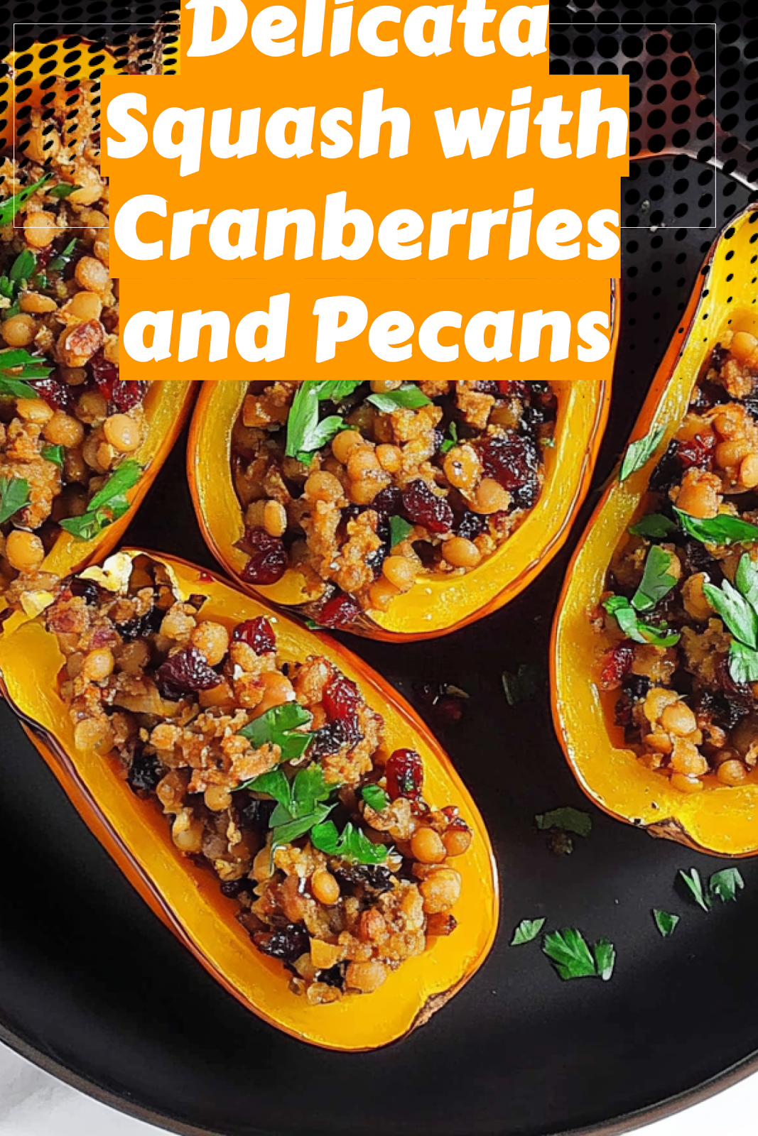 Easy homemade Lentil stuffed delicata squash with cranberries and pecans recipe with ingredients and step-by-step guide
